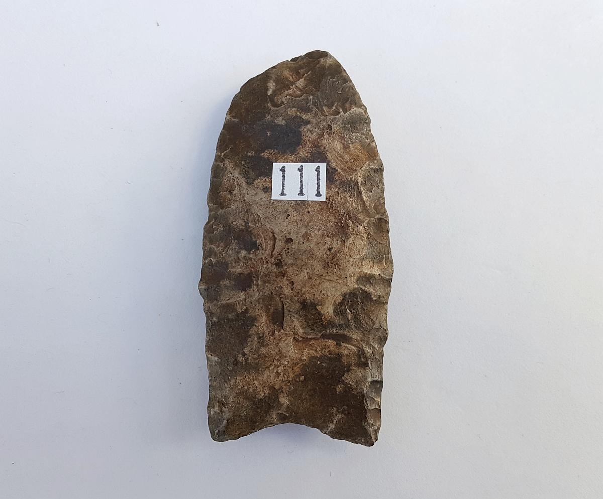 Fl. Clovis type arrowhead w/COA. | Fossils & Artifacts for Sale | Paleo Enterprises | Fossils & Artifacts for Sale