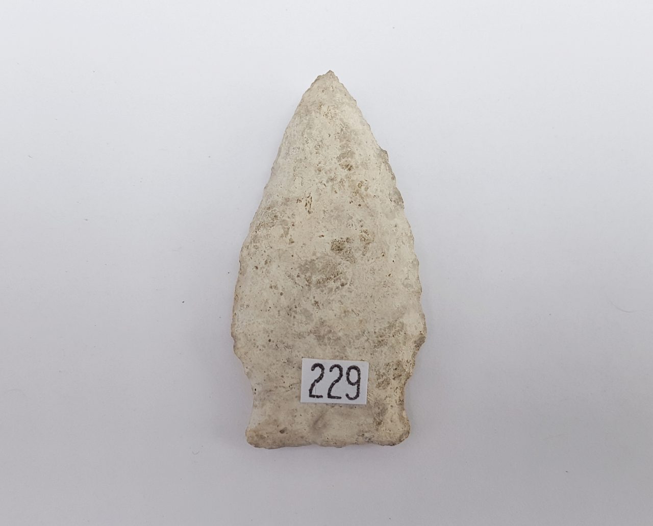 Fl. Columbia type arrowhead | Fossils & Artifacts for Sale | Paleo Enterprises | Fossils & Artifacts for Sale