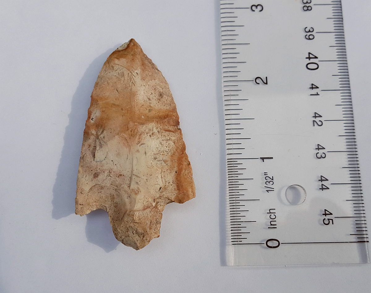Fl. Cypress Creek type arrowhead w/COA. | Fossils & Artifacts for Sale | Paleo Enterprises | Fossils & Artifacts for Sale