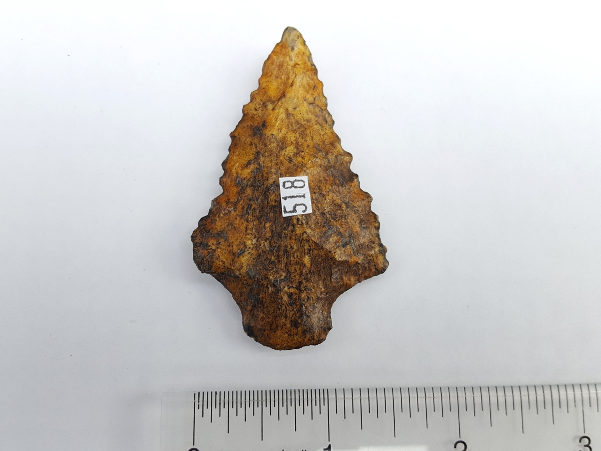 Fl. Elora type arrowhead, YELLOW CORAL! | Fossils & Artifacts for Sale | Paleo Enterprises | Fossils & Artifacts for Sale