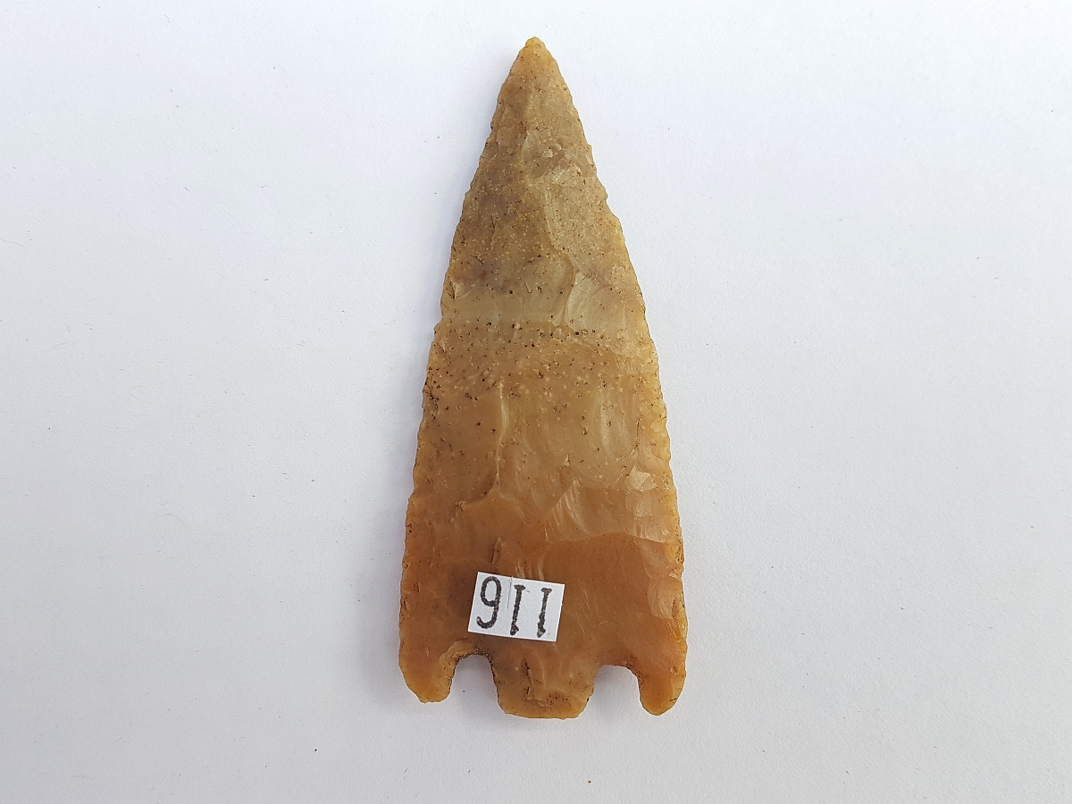 Fl. Hernando type arrowhead, PERFECT G10 COA! | Fossils & Artifacts for Sale | Paleo Enterprises | Fossils & Artifacts for Sale