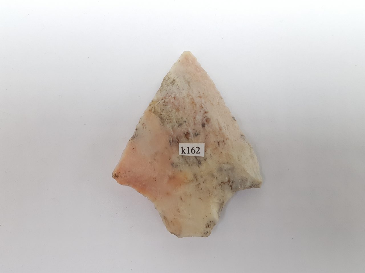 Fl. Levy type arrowhead w/COA, COLORFUL CORAL! | Fossils & Artifacts for Sale | Paleo Enterprises | Fossils & Artifacts for Sale