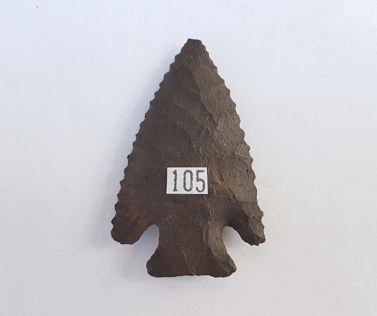 Fl. Lost Lake-Bolen type arrowhead, G9.8 COA! | Fossils & Artifacts for Sale | Paleo Enterprises | Fossils & Artifacts for Sale