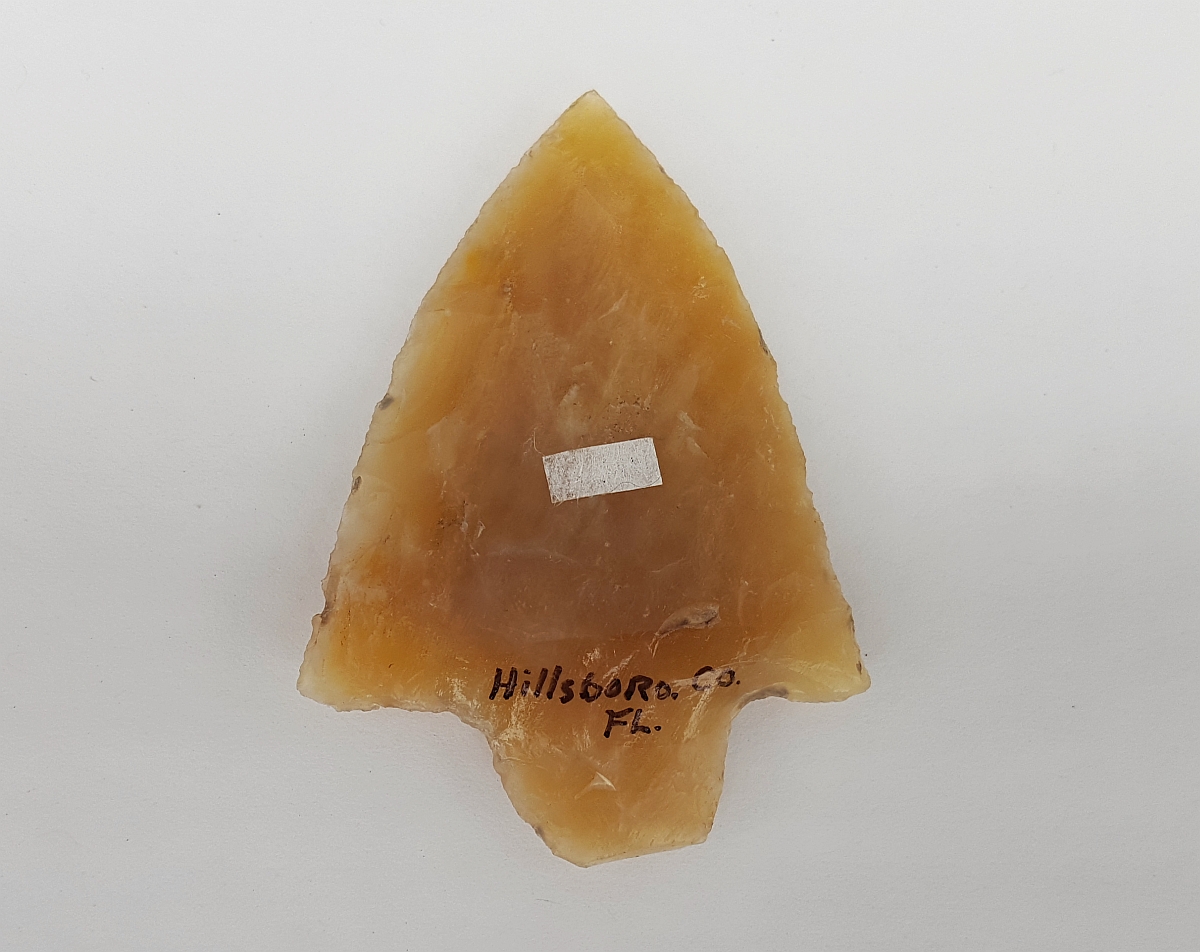 Fl. Marion type arrowhead w/COA, TRANSLUCENT CORAL! | Fossils & Artifacts for Sale | Paleo Enterprises | Fossils & Artifacts for Sale