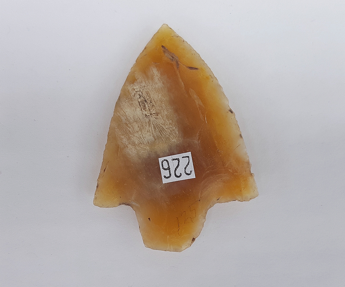 Fl. Marion type arrowhead w/COA, TRANSLUCENT CORAL! | Fossils & Artifacts for Sale | Paleo Enterprises | Fossils & Artifacts for Sale