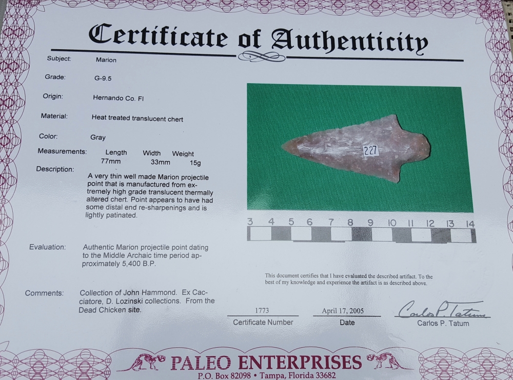 Fl. Marion type arrowhead, FANTASTIC TRANSLUCENT G9.5! | Fossils & Artifacts for Sale | Paleo Enterprises | Fossils & Artifacts for Sale