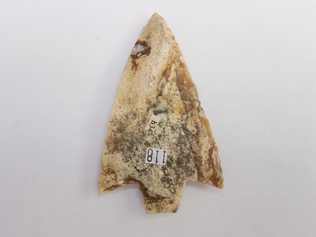 Fl. Newnan type arrowhead. TRANSLUCENT, G9 COA! | Fossils & Artifacts for Sale | Paleo Enterprises | Fossils & Artifacts for Sale