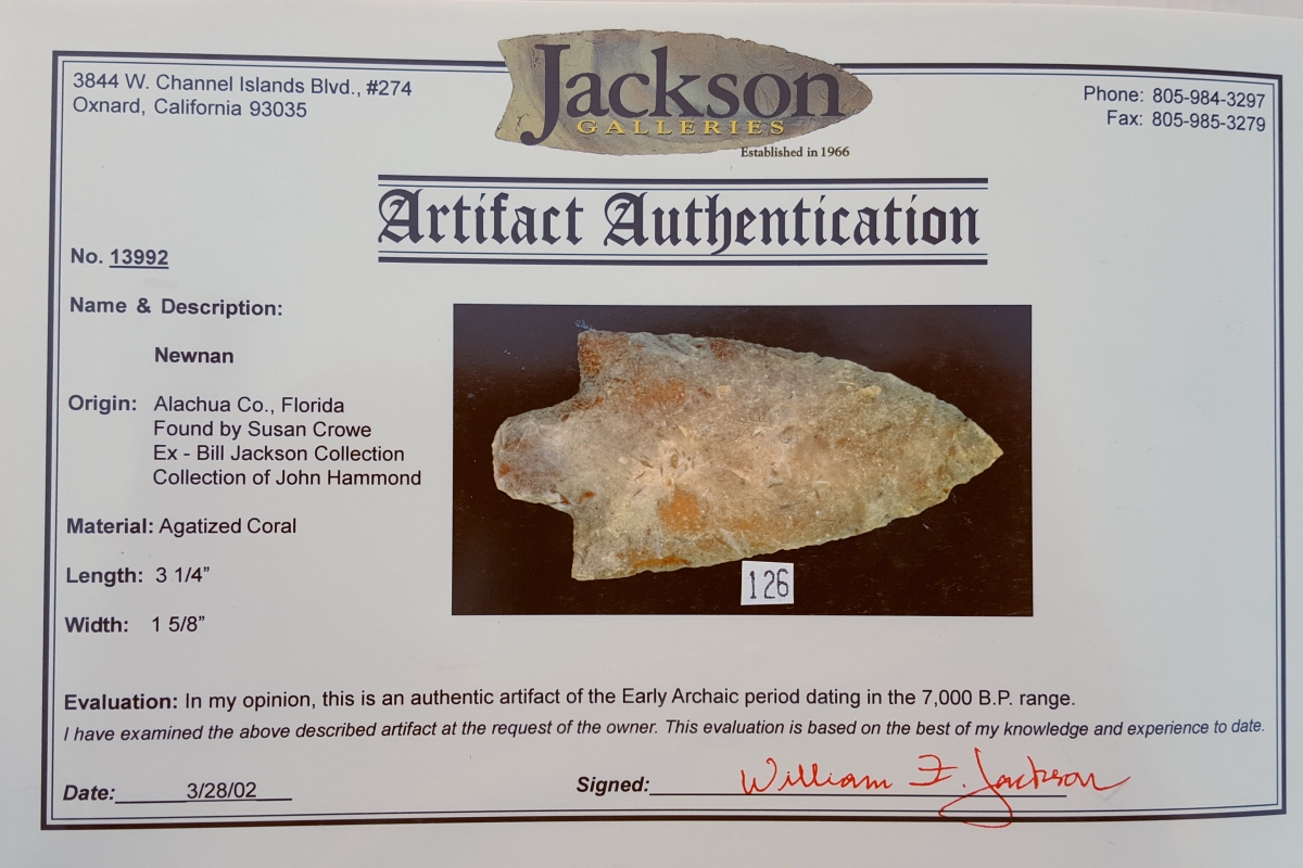 Fl Newnan type arrowhead, agatized coral w/COA | Fossils & Artifacts for Sale | Paleo Enterprises | Fossils & Artifacts for Sale