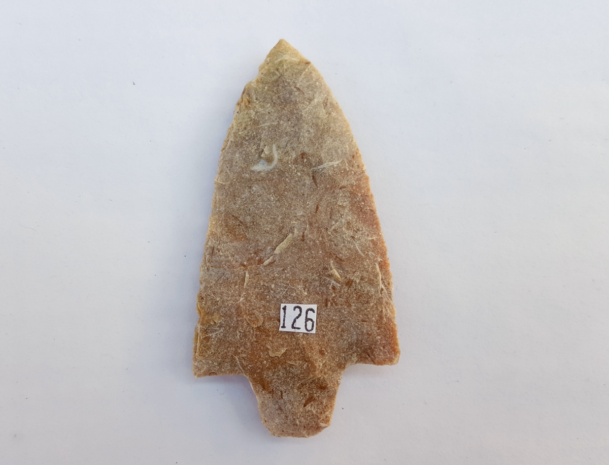 Fl Newnan type arrowhead, agatized coral w/COA | Fossils & Artifacts for Sale | Paleo Enterprises | Fossils & Artifacts for Sale