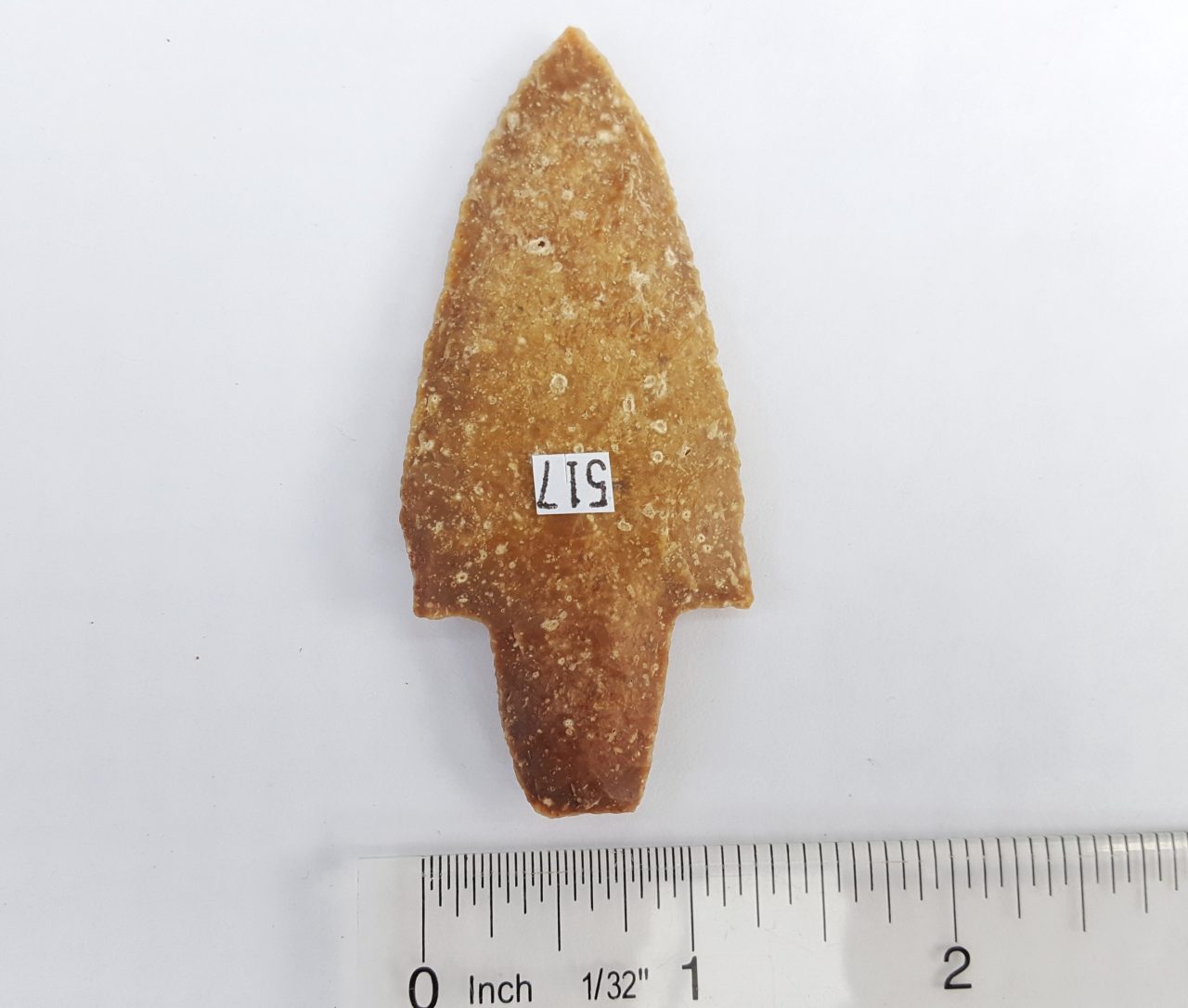 Fl. Newnan-Lockloosa type arrowhead, AGATIZED CORAL! | Fossils & Artifacts for Sale | Paleo Enterprises | Fossils & Artifacts for Sale