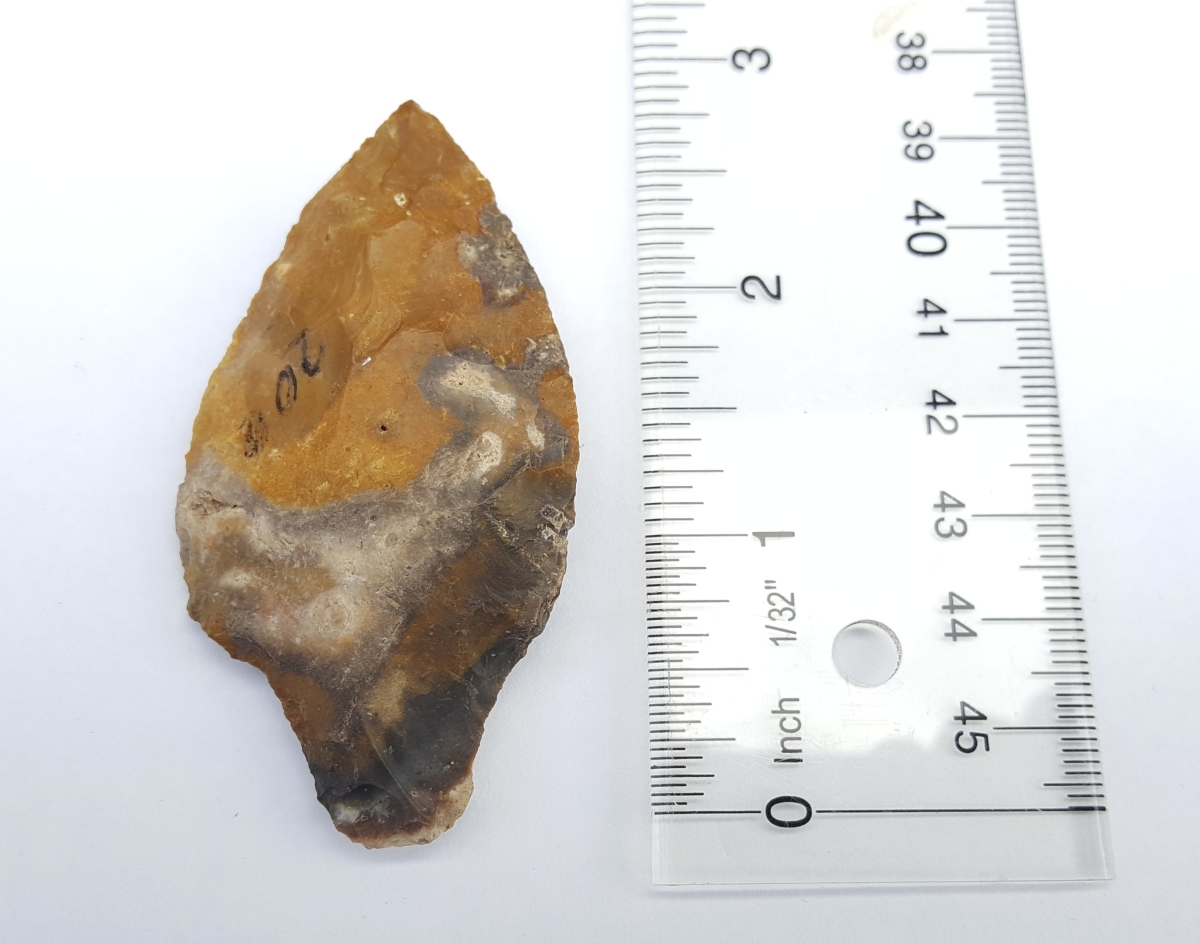 Fl. Putnam type arrowhead, COLORFUL CORAL! | Fossils & Artifacts for Sale | Paleo Enterprises | Fossils & Artifacts for Sale