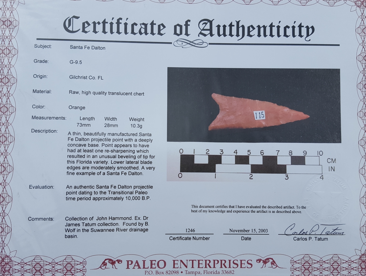 Fl. Santa Fe-Dalton type arrowhead, TRANSLUCENT CORAL G9.8 W/COA! | Fossils & Artifacts for Sale | Paleo Enterprises | Fossils & Artifacts for Sale
