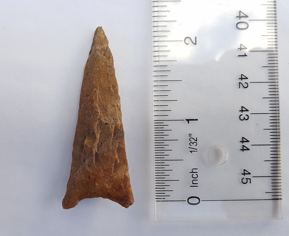 Fl. Santa Fe type arrowhead, AGATIZED CORAL. | Fossils & Artifacts for Sale | Paleo Enterprises | Fossils & Artifacts for Sale