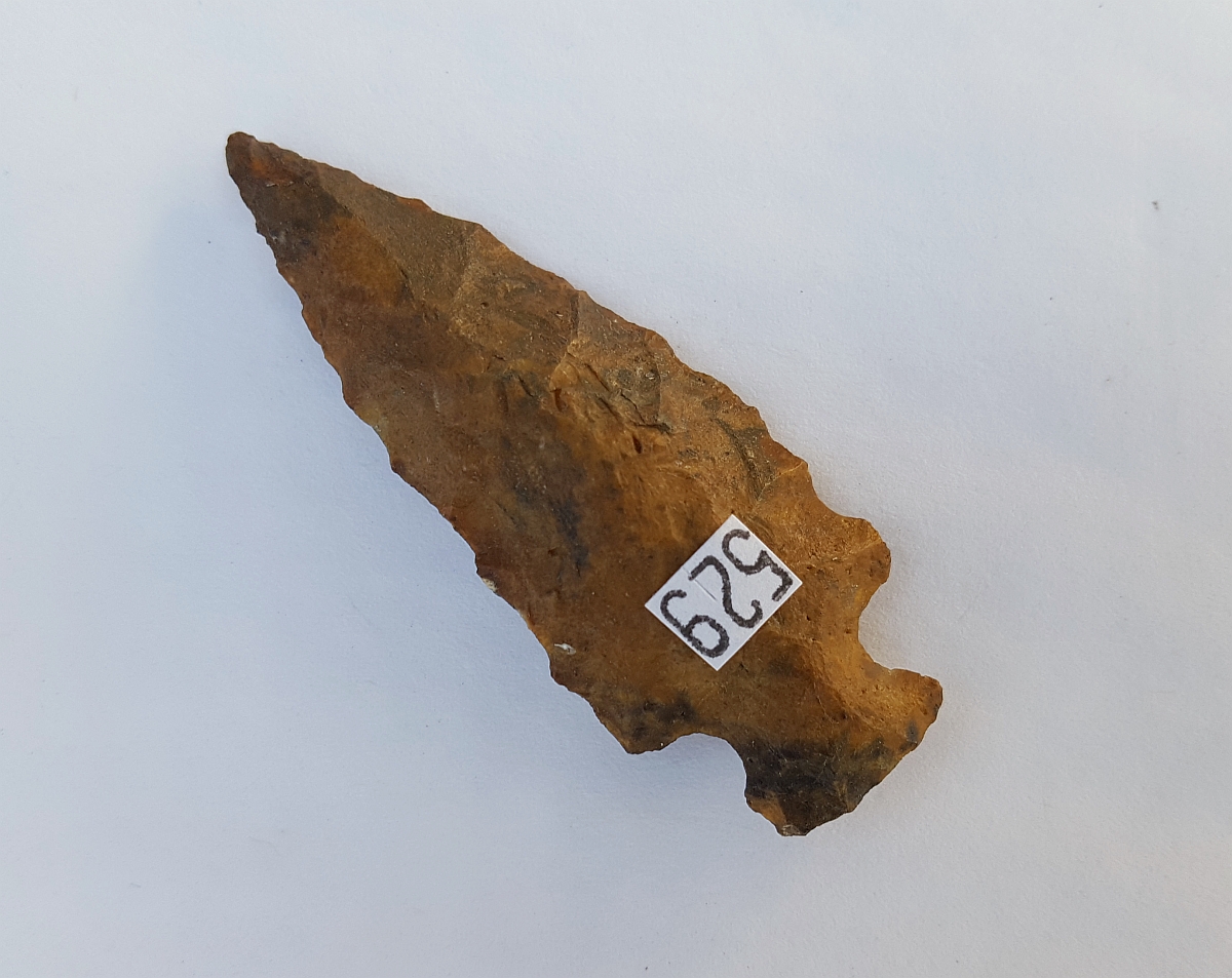 Fl. Sarasota type arrowhead w/COA. | Fossils & Artifacts for Sale | Paleo Enterprises | Fossils & Artifacts for Sale
