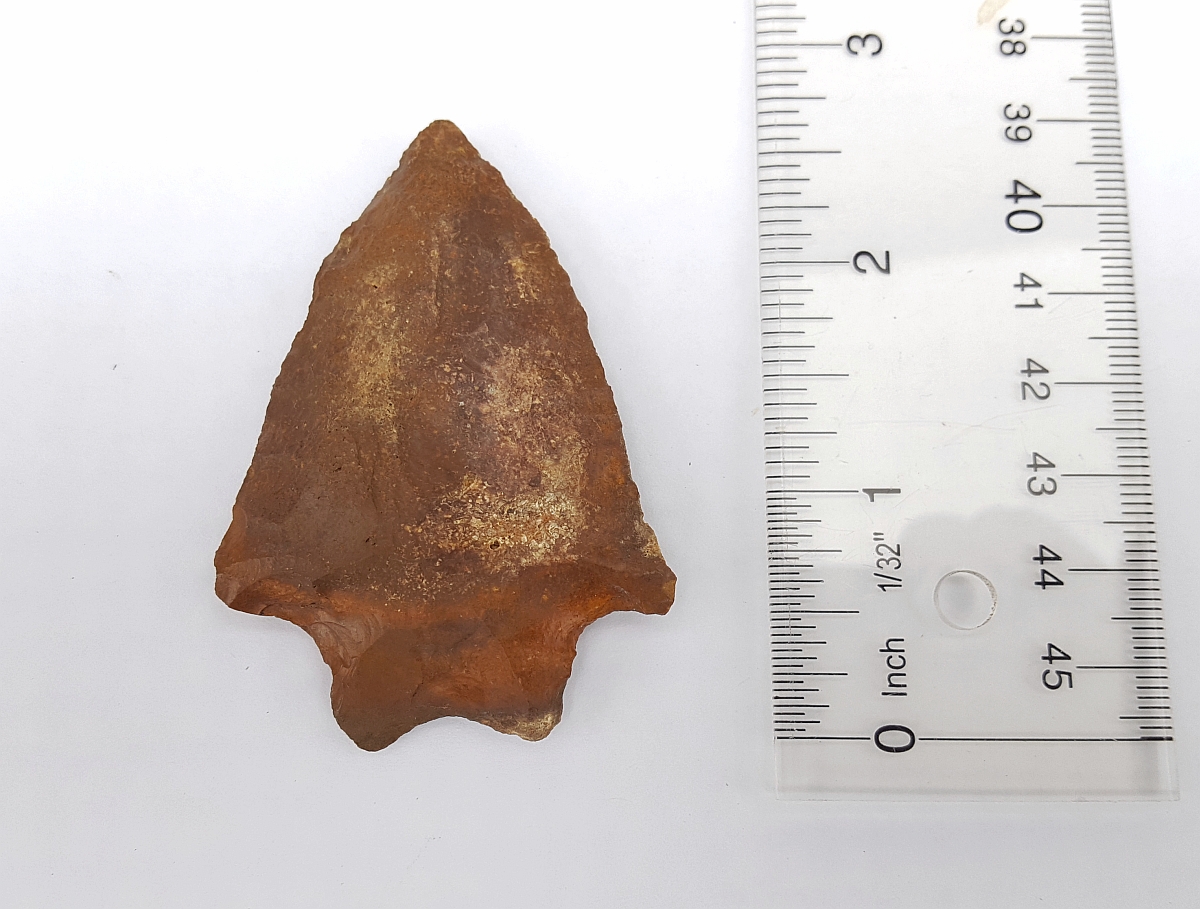 Fl. Savannah River type arrowhead w/COA, COLORFUL CHERT! | Fossils & Artifacts for Sale | Paleo Enterprises | Fossils & Artifacts for Sale