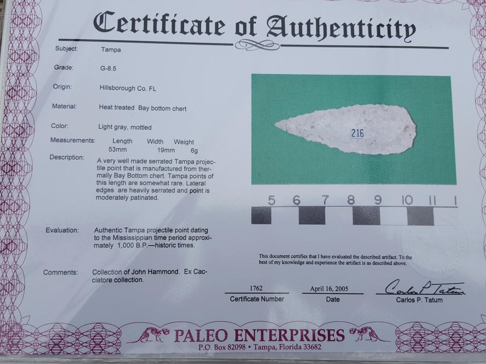 Fl. Tampa type arrowhead, G7 w/COA, NICE PATINA! | Fossils & Artifacts for Sale | Paleo Enterprises | Fossils & Artifacts for Sale