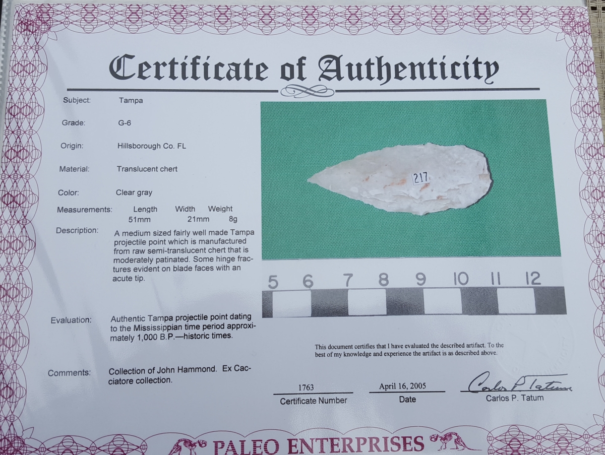 Fl. Tampa type arrowhead w/COA, TRANSLUCENT! | Fossils & Artifacts for Sale | Paleo Enterprises | Fossils & Artifacts for Sale
