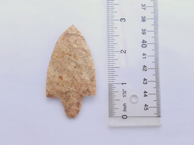 Fl. Newnan type arrowhead, CORAL w/COA. | Fossils & Artifacts for Sale | Paleo Enterprises | Fossils & Artifacts for Sale