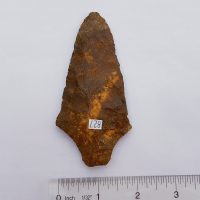 Fl. Levy type arrowhead, COLORFUL G7 w/Davis COA. | Fossils & Artifacts for Sale | Paleo Enterprises | Fossils & Artifacts for Sale
