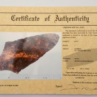 Fl. Levy type arrowhead, COLORFUL G7 w/Davis COA. | Fossils & Artifacts for Sale | Paleo Enterprises | Fossils & Artifacts for Sale