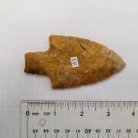 Fl. Newnan type point, CORAL w/COA! | Fossils & Artifacts for Sale | Paleo Enterprises | Fossils & Artifacts for Sale