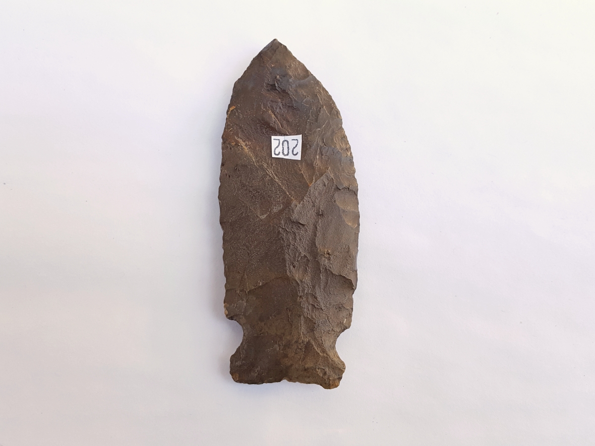 Fl. Greenbrier type arrowhead | Fossils & Artifacts for Sale | Paleo Enterprises | Fossils & Artifacts for Sale