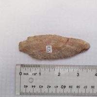 Fl. Thonotosassa type point | Fossils & Artifacts for Sale | Paleo Enterprises | Fossils & Artifacts for Sale