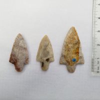 Group of 3 Florida Marion points w/COA! | Fossils & Artifacts for Sale | Paleo Enterprises | Fossils & Artifacts for Sale