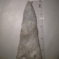 Vary Large Classic Citrus Type Arrowhead | Fossils & Artifacts for Sale | Paleo Enterprises | Fossils & Artifacts for Sale