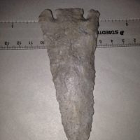 Vary Large Classic Citrus Type Arrowhead | Fossils & Artifacts for Sale | Paleo Enterprises | Fossils & Artifacts for Sale
