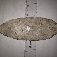 Thonotosassa  Classic for Type | Fossils & Artifacts for Sale | Paleo Enterprises | Fossils & Artifacts for Sale