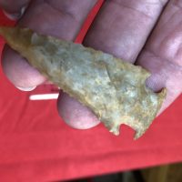 Very Fine Bolen Beveled Artifact Florida | Fossils & Artifacts for Sale | Paleo Enterprises | Fossils & Artifacts for Sale