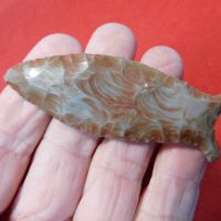 BEAVER LAKE INSIGHT COA | Fossils & Artifacts for Sale | Paleo Enterprises | Fossils & Artifacts for Sale