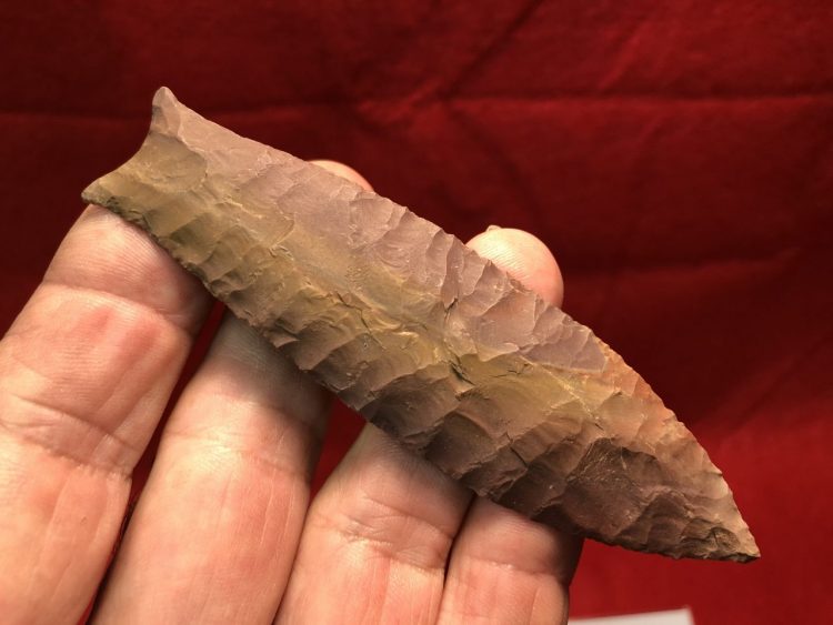 Beaver Lake - Projectile Point COA | Fossils & Artifacts for Sale | Paleo Enterprises | Fossils & Artifacts for Sale