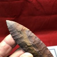 Beaver Lake - Projectile Point COA | Fossils & Artifacts for Sale | Paleo Enterprises | Fossils & Artifacts for Sale