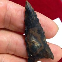 Tallahassee Type Arrowhead | Fossils & Artifacts for Sale | Paleo Enterprises | Fossils & Artifacts for Sale