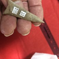 Near Perfect Maud Arrowhead Texas | Fossils & Artifacts for Sale | Paleo Enterprises | Fossils & Artifacts for Sale