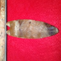 Wheeler 3 5/8 Inch with COA Paleo Artifact Waiting for second Cert. | Fossils & Artifacts for Sale | Paleo Enterprises | Fossils & Artifacts for Sale