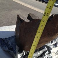 Woolly Mammoth Jaw Fossil | Fossils & Artifacts for Sale | Paleo Enterprises | Fossils & Artifacts for Sale