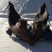 Woolly Mammoth Jaw Fossil | Fossils & Artifacts for Sale | Paleo Enterprises | Fossils & Artifacts for Sale