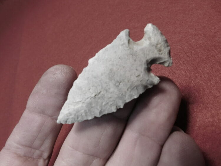 Bolen Plain Artifact Fl. | Fossils & Artifacts for Sale | Paleo Enterprises | Fossils & Artifacts for Sale
