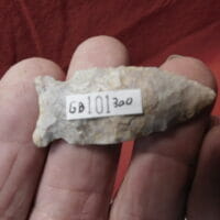 Greenbrier G-10 OCA Cert | Fossils & Artifacts for Sale | Paleo Enterprises | Fossils & Artifacts for Sale