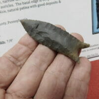 Cumberland "Barnes" G-10 Paleo COA | Fossils & Artifacts for Sale | Paleo Enterprises | Fossils & Artifacts for Sale