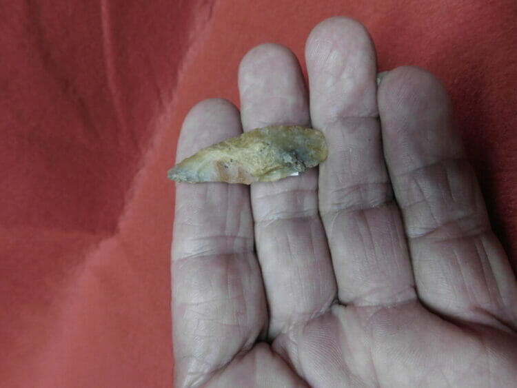 Fl. Ichetucknee type arrowhead Fl. chert | Fossils & Artifacts for Sale | Paleo Enterprises | Fossils & Artifacts for Sale