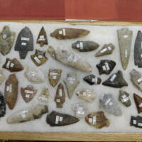 Fl. Newnan type arrowhead Fl. chert | Fossils & Artifacts for Sale | Paleo Enterprises | Fossils & Artifacts for Sale