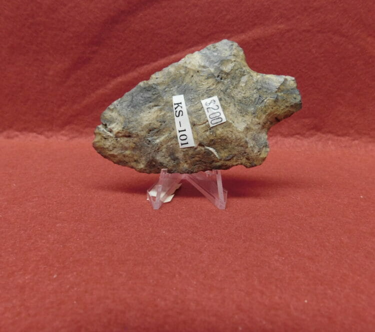 Fl. Newnan type arrowhead Fl. chert | Fossils & Artifacts for Sale | Paleo Enterprises | Fossils & Artifacts for Sale
