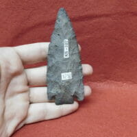 Citrus type arrowhead Fl. chert | Fossils & Artifacts for Sale | Paleo Enterprises | Fossils & Artifacts for Sale