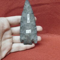 Citrus type arrowhead Fl. chert | Fossils & Artifacts for Sale | Paleo Enterprises | Fossils & Artifacts for Sale