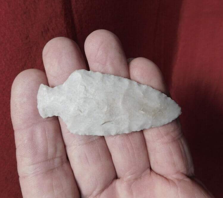 Fl. Sarasota type arrowhead | Fossils & Artifacts for Sale | Paleo Enterprises | Fossils & Artifacts for Sale