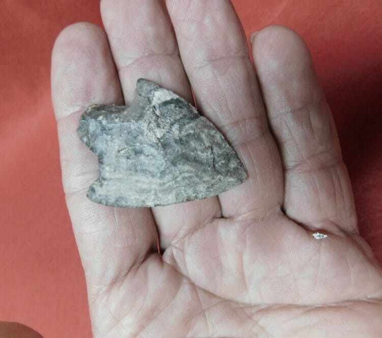 Fl. Newman type arrowhead Fl. chert | Fossils & Artifacts for Sale | Paleo Enterprises | Fossils & Artifacts for Sale